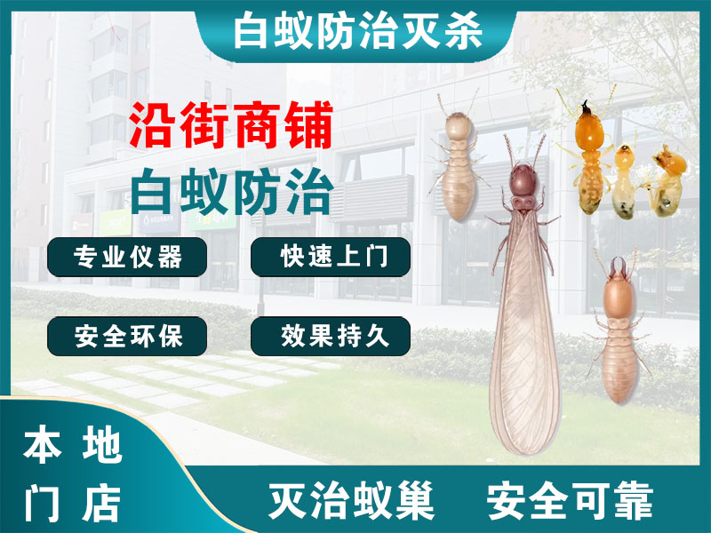 钟楼区沿街商铺白蚁防治