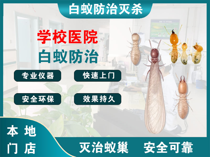 钟楼区学校医院白蚁防治