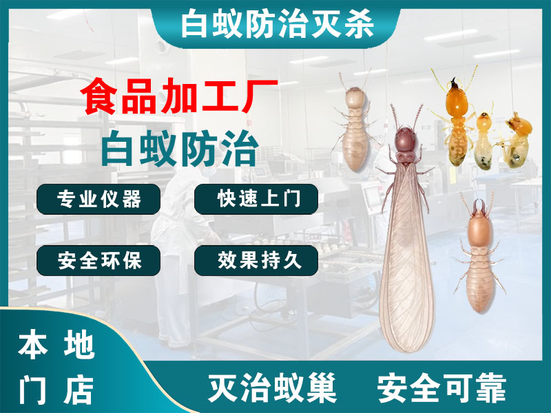钟楼区食品加工厂白蚁防治