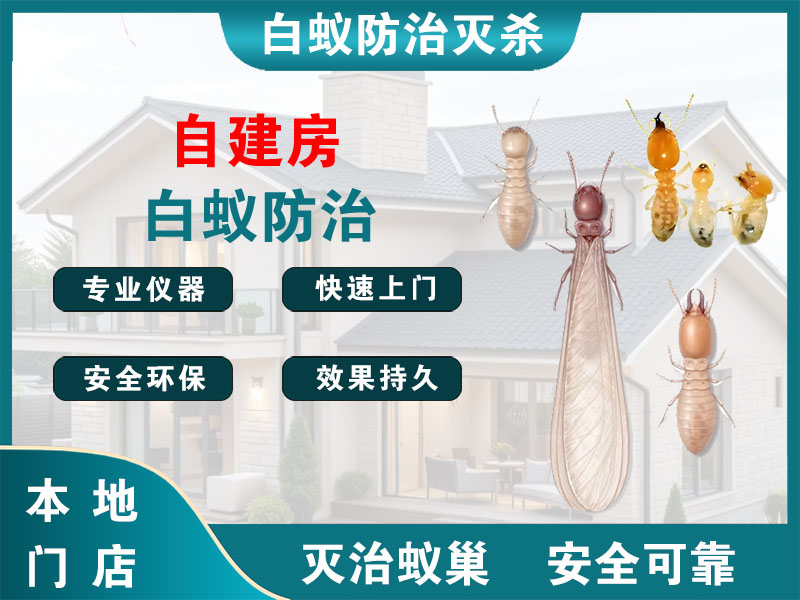 钟楼区自建房白蚁防治