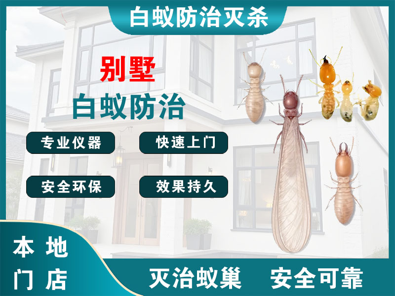钟楼区别墅白蚁防治